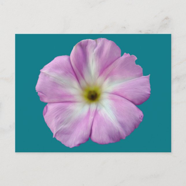 Postal Bindweed #1 (Anverso)