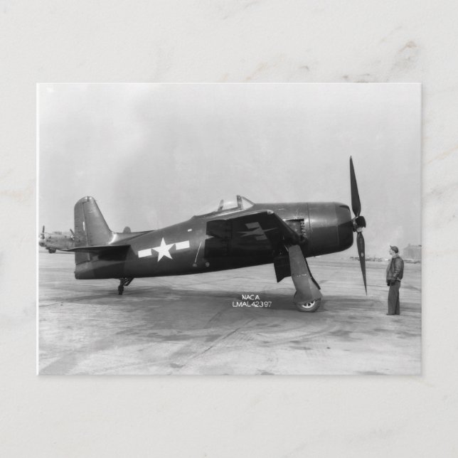 Postal Binturong de F8F (Anverso)
