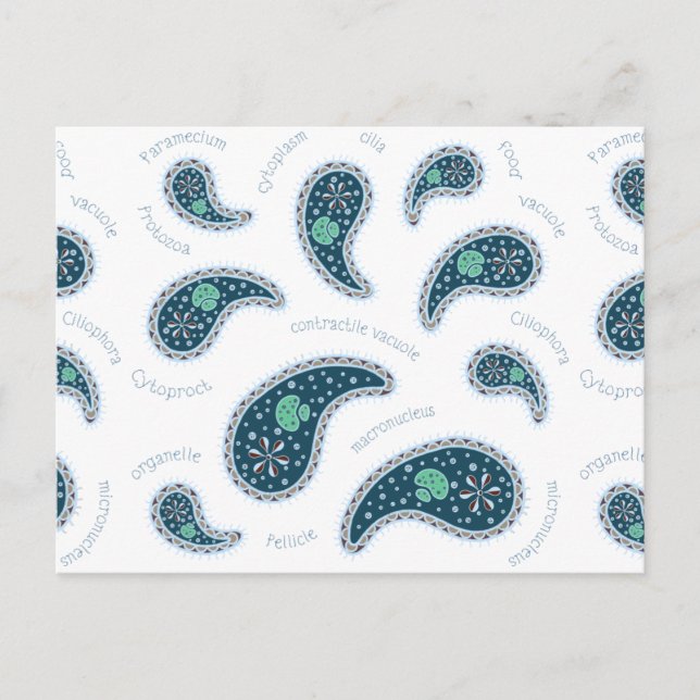 Postal Biología personalizable de Paramecia Paisley (Anverso)