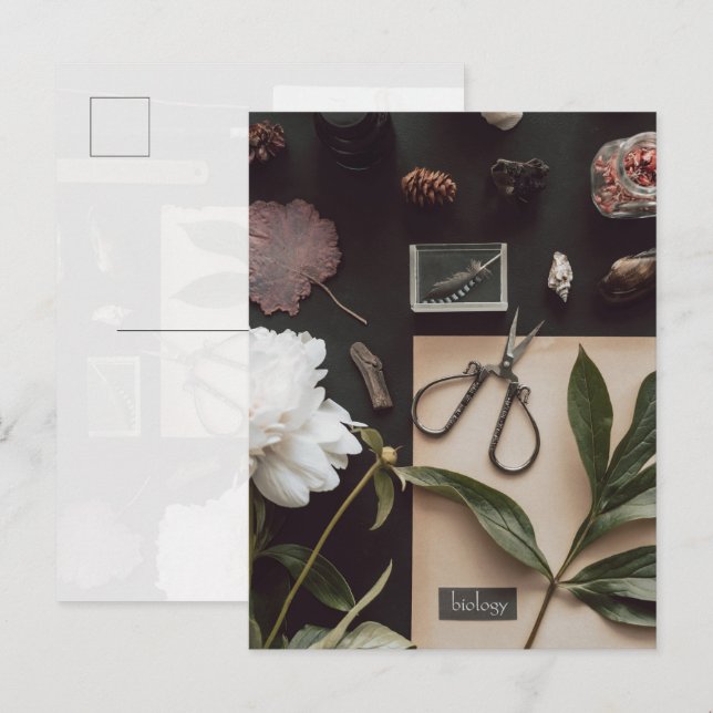 Postal Biology science Flat Lay Academia (Anverso / Reverso)