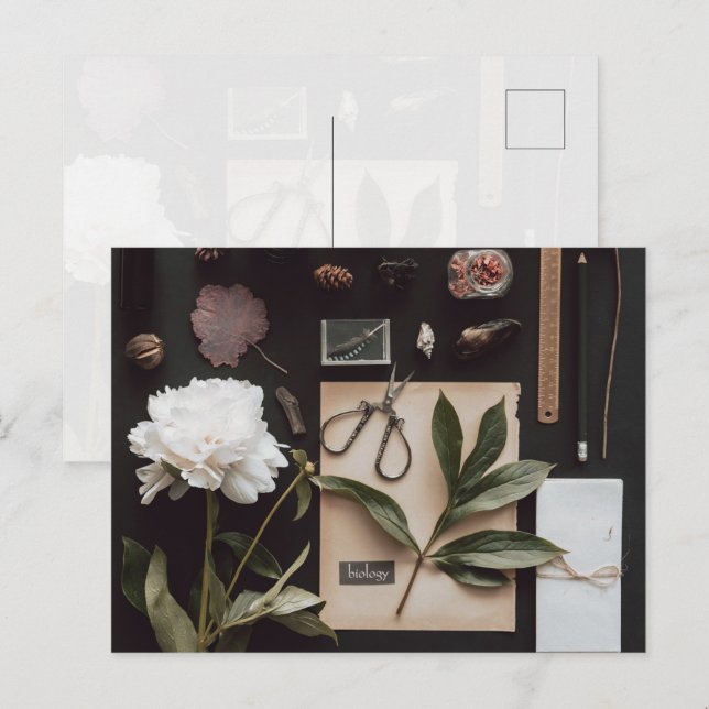 Postal Biology science Flat Lay Academia (Anverso / Reverso)