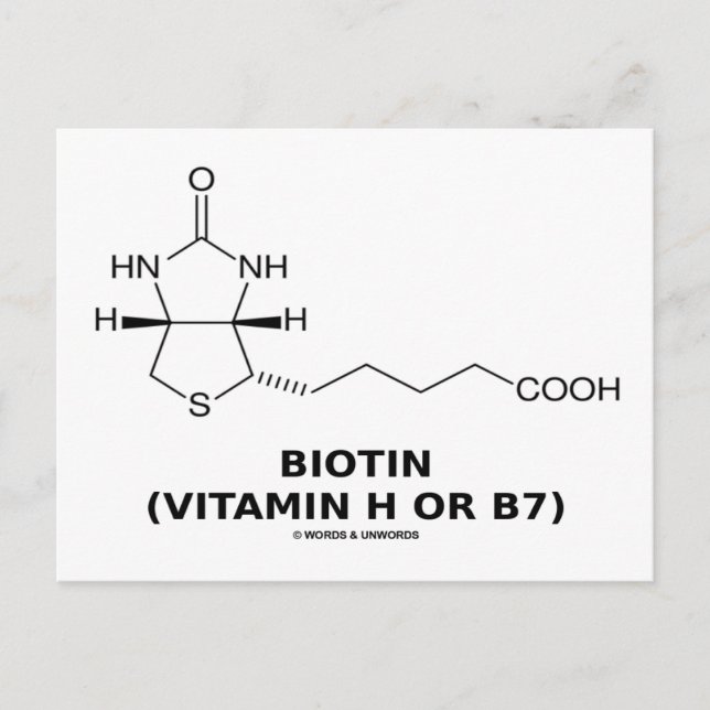 Postal Biotina (Vitamina H O B7) Molécula química (Anverso)