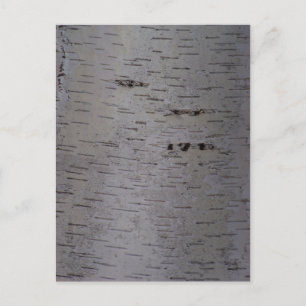 Postal Birch Bark