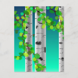 Postal Birch blanco