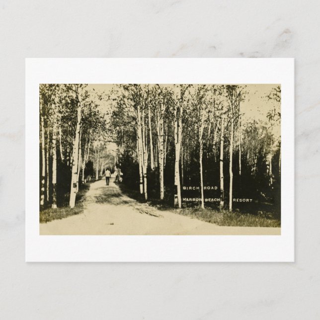 Postal Birch Road Harbour Beach Resort, Michigan (Anverso)