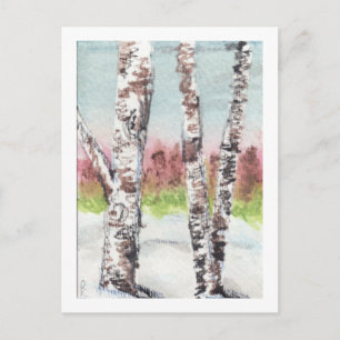 Postal Birch Woods Postcard