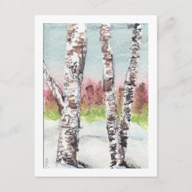 Postal Birch Woods Postcard (Anverso)