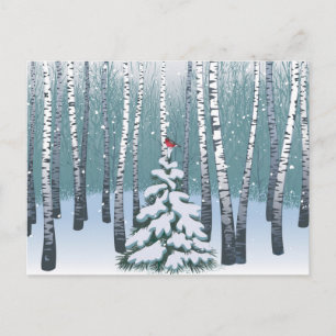 Postal Birches In the Winter Forest