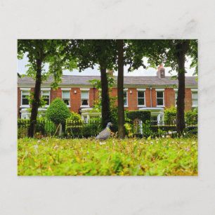 Postal Bird