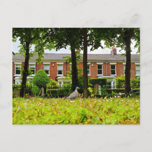 Postal Bird (Anverso)