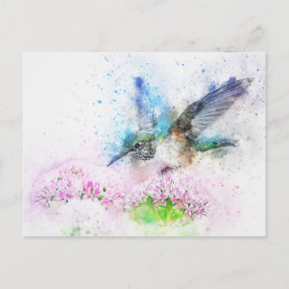 Postal bird-2573779_1920