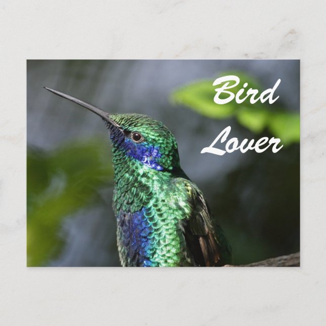 Postal Bird Lover (Anverso)