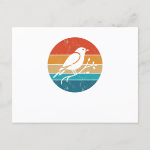 Postal Bird Watching Birds Observer Bird