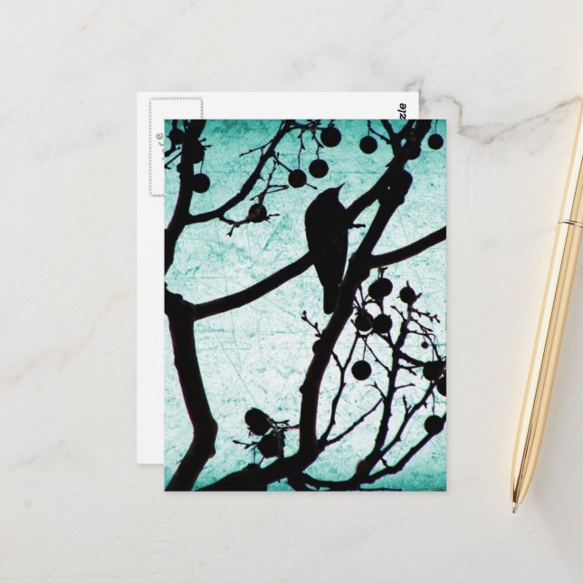 Postal Birdie (Anverso/Reverso In Situ)