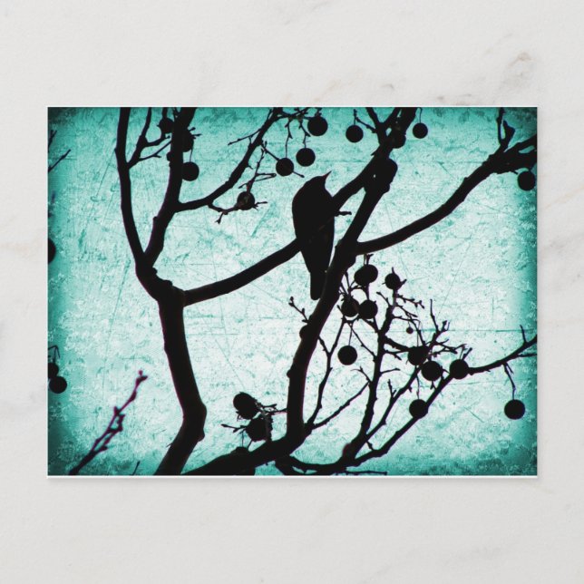 Postal Birdie (Anverso)