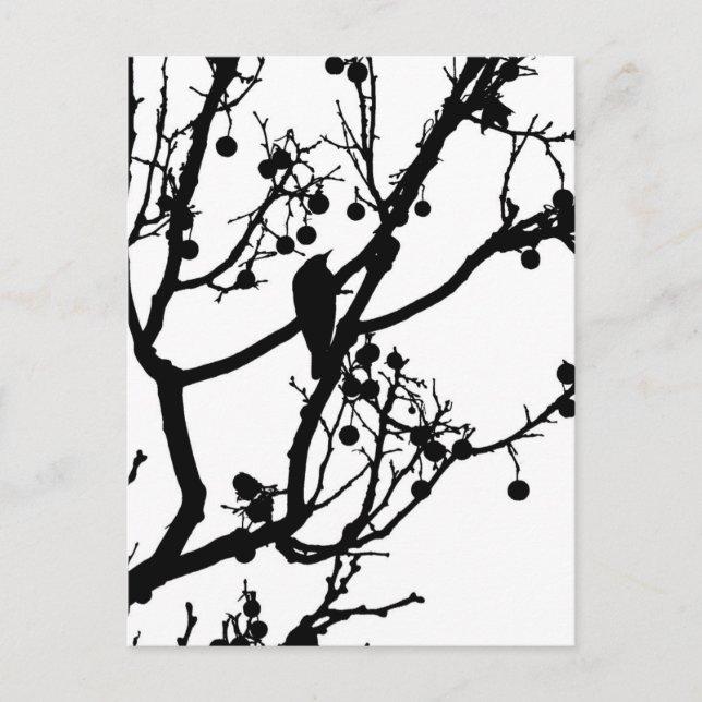 Postal Birdie 4 (Anverso)