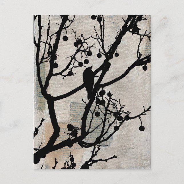 Postal Birdie 6 (Anverso)