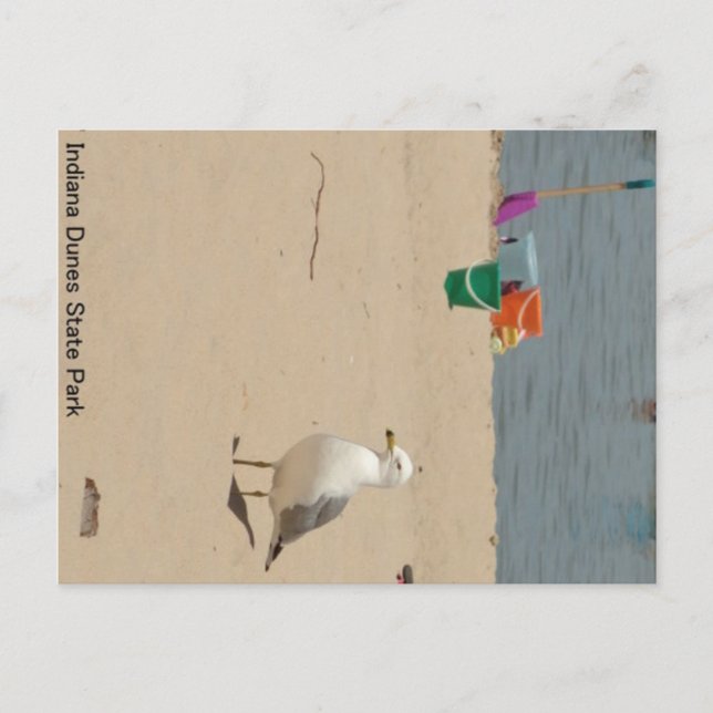 Postal Birdie Beach (Anverso)