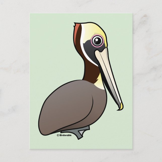 Postal Birdorable Brown Pelican (Anverso)