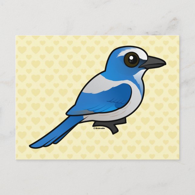 Postal Birdorable Florida Scrub-Jay (Anverso)