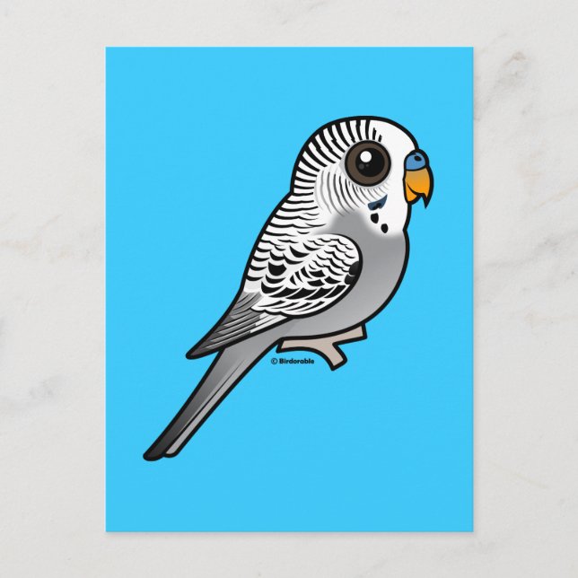 Postal Birdorable Grey Budgie (Anverso)