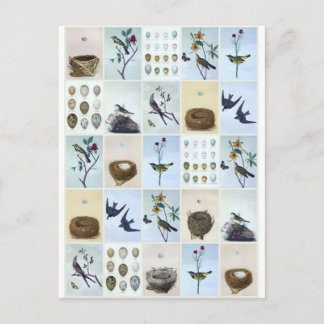 Postal Birds and Nests