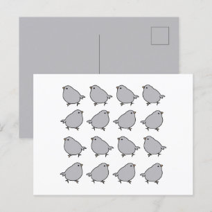 Postal Birds Bird