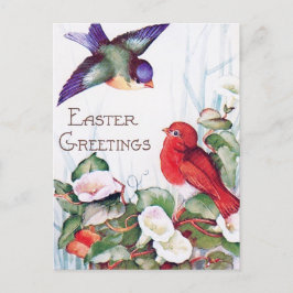Postal Birds Morning Glory Retro Easter