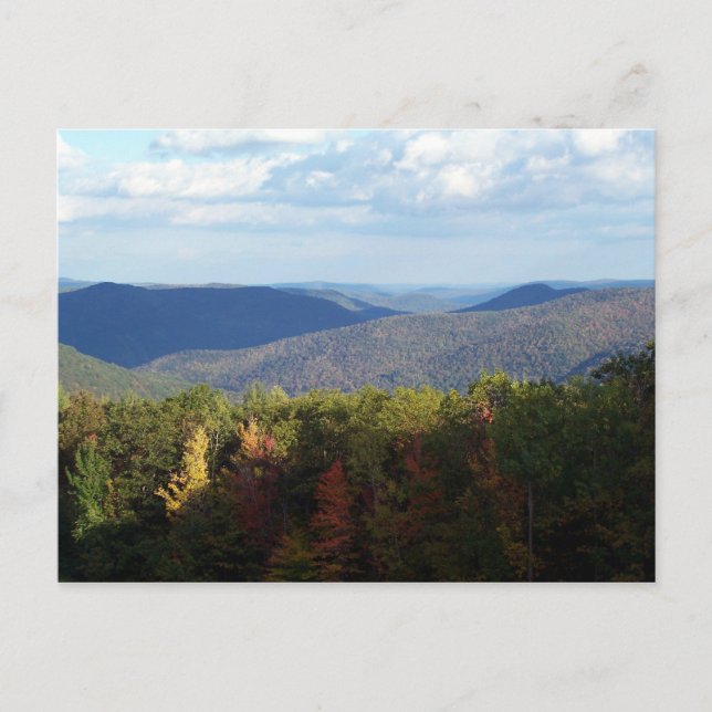 Postal Birkshires (Anverso)