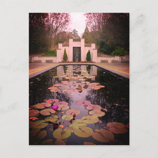 Postal Birmingham Lily Pond (Anverso)