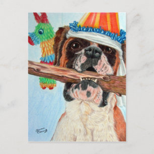 Postal Birthday Boxer