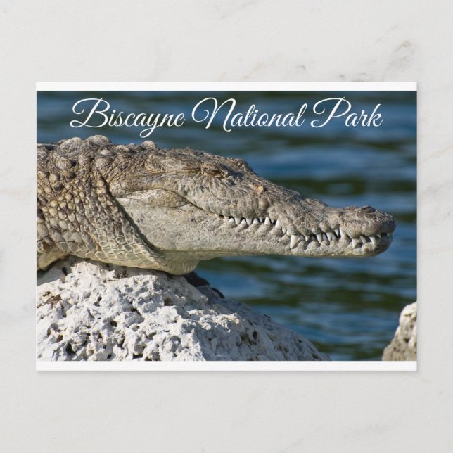 Postal Biscayne Bay Park Miami Beach Florida Postcard (Anverso)