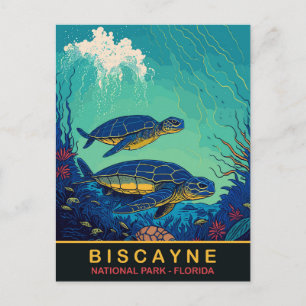 Postal Biscayne, tortugas subacuáticas, Floraida, Viajes