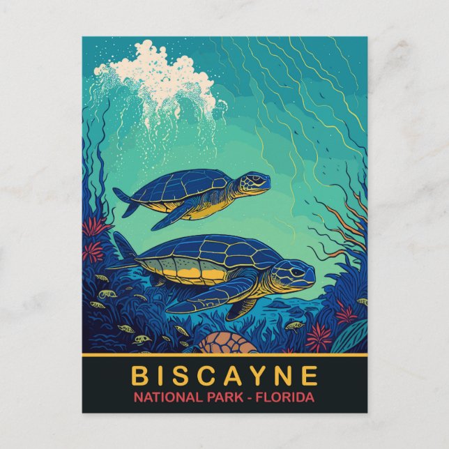 Postal Biscayne, tortugas subacuáticas, Floraida, Viajes (Anverso)