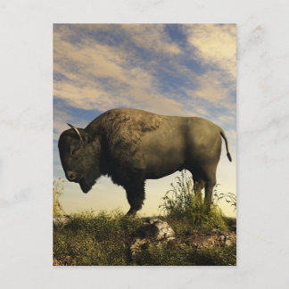 Postal Bison