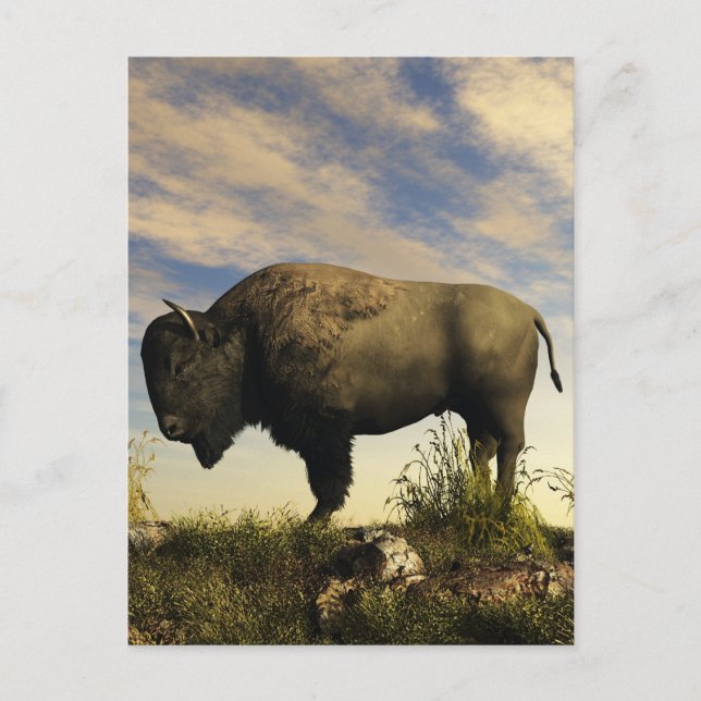 Postal Bison (Anverso)