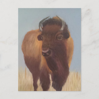 Postal Bison