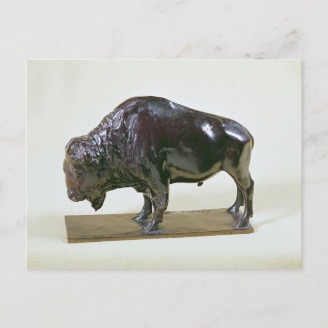 Postal Bison, 1907 (Anverso)
