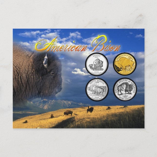 Postal Bison Americano en monedas (Anverso)