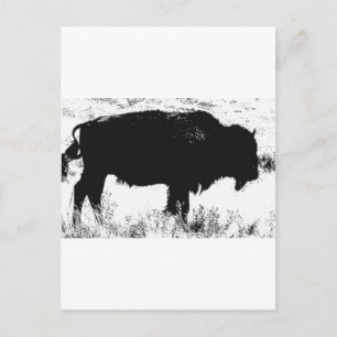 Postal Bison - Búfalo