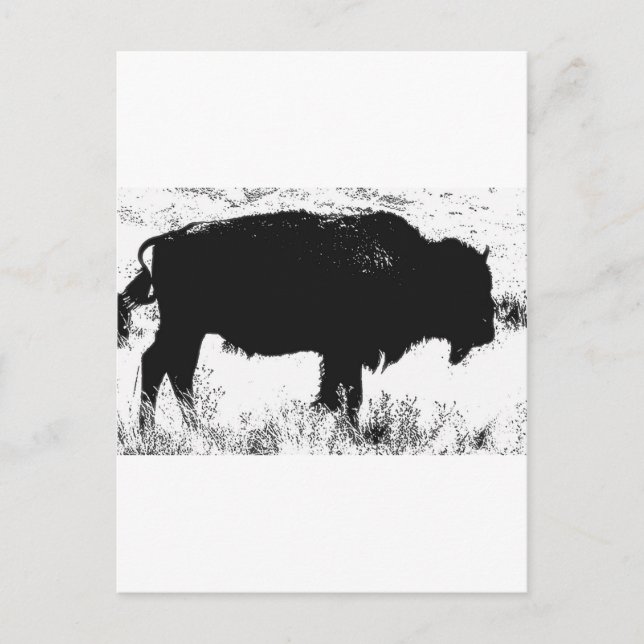 Postal Bison - Búfalo (Anverso)