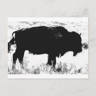 Postal Bison - Búfalo