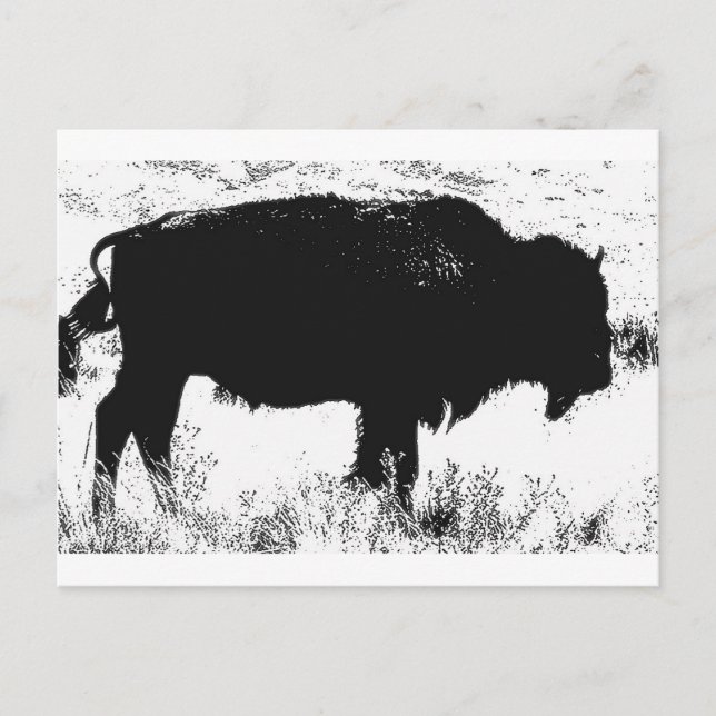 Postal Bison - Búfalo (Anverso)