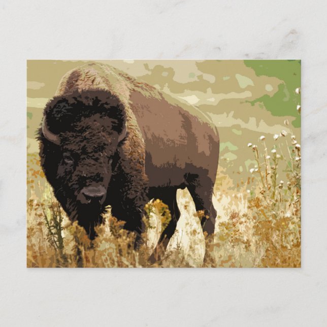 Postal Bison / Búfalo (Anverso)