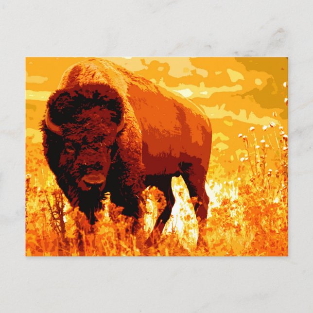 Postal Bison / Búfalo (Anverso)