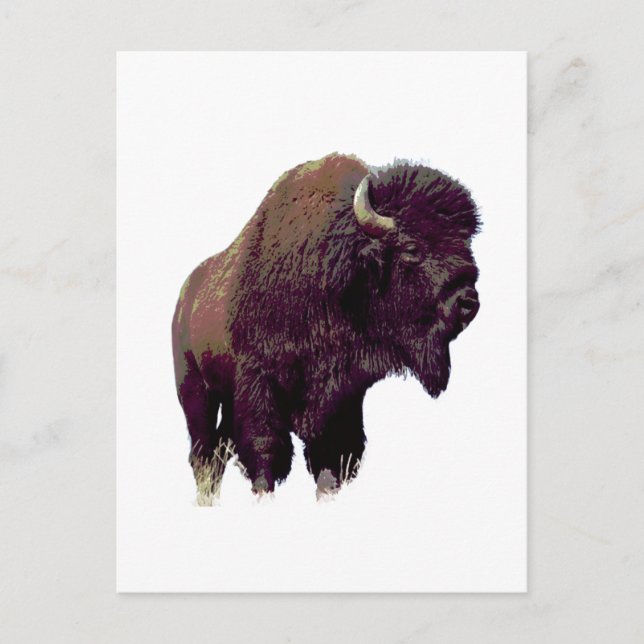 Postal Bison Búfalo  (Anverso)