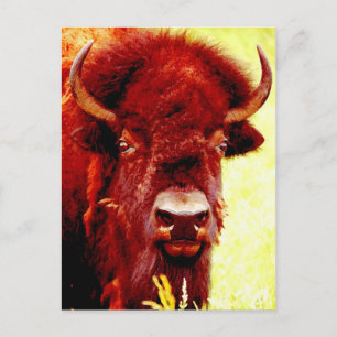 Postal Bison / Búfalo Face