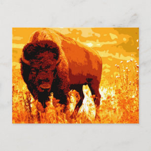 Postal Bison / Buffalo