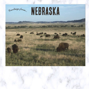 Postal Bison en Nebraska
