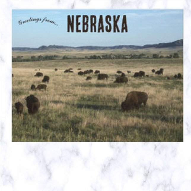 Postal Bison en Nebraska (Subido por el creador)
